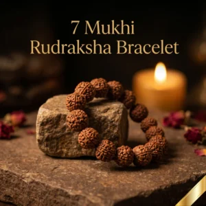 7 Mukhi Rudraksha Bracelet